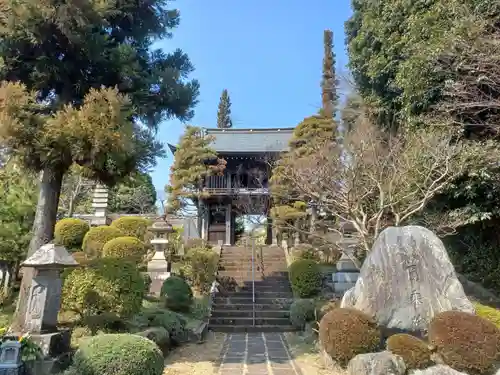 圓乗院の山門