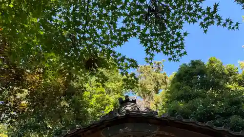 孫太郎稲荷神社（薬師寺境内社）(奈良県)