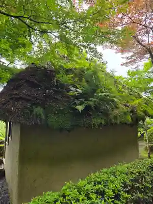 華厳寺(鈴虫寺)(京都府)
