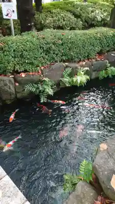 浅草寺(東京都)