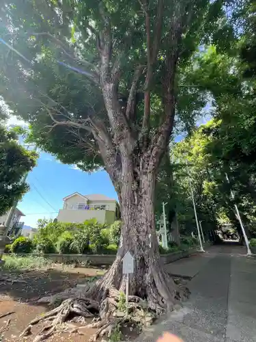 五社神社(神奈川県)
