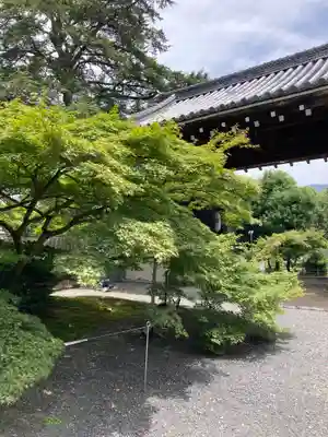 実相院門跡(京都府)