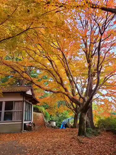 萬寿寺（お不動さん）の自然