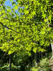 西凉寺(山梨県)