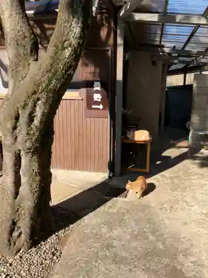 清巌寺(東京都)