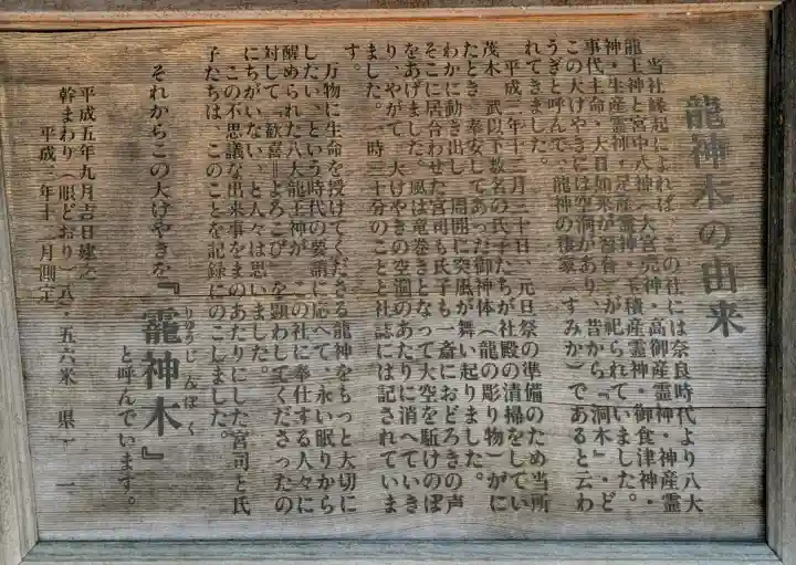 秩父今宮神社の{uncategorized: "未分類", other: "その他", undefined: "問題あり", building: "その他建物", grave: "お墓", sacred_gate: "鳥居", guardian: "狛犬", statue: "像", buddha: "仏像", history: "歴史", nature: "自然", garden: "庭園", animal: "動物", pagoda: "塔", temizu: "手水舎", mountain_gate: "山門・神門", sanctuary: "本殿・本堂", subordinate: "末社・摂社", art: "芸術", scenery: "景色", jizo: "地蔵", ema: "絵馬", goshuin: "御朱印", omikuji: "おみくじ", items: "授与品その他", amulet: "お守り", goshuincho: "御朱印帳", eats: "食事", festival: "お祭り", votive_dance: "神楽", shichigosan: "七五三参", wedding: "結婚式", experience: "体験その他", initially: "初詣", around: "周辺", anti_infection: "感染症対策"}