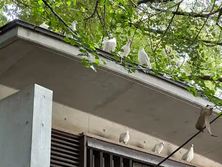 靖國神社(東京都)