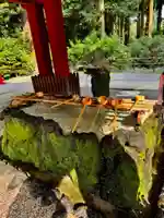 霧島神宮(鹿児島県)