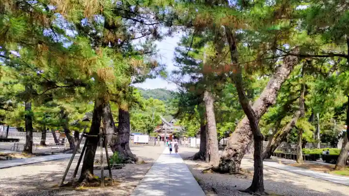 出雲大社(島根県)