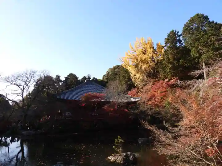 醍醐寺(上醍醐)(京都府)