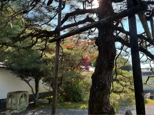 大心院(京都府)