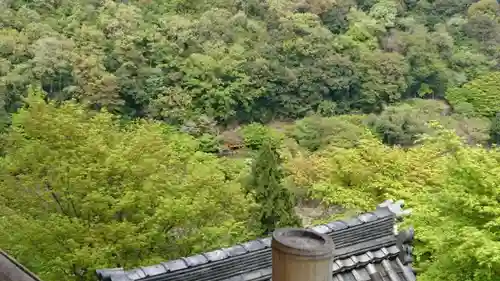 大悲閣千光寺の景色