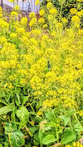 十二社神社の自然