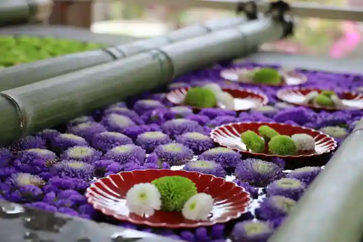 多賀神社(福岡県)