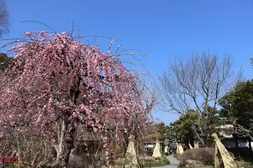 祐徳稲荷神社(佐賀県)