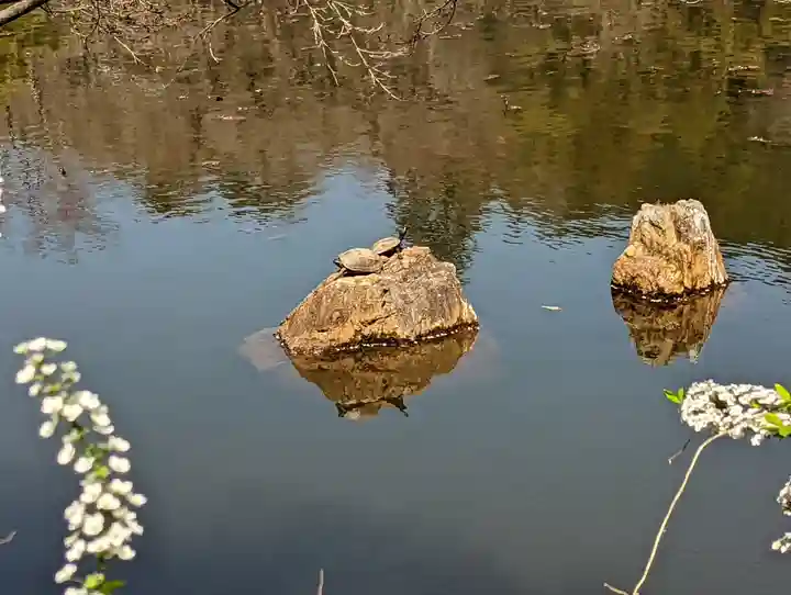 龍安寺(京都府)