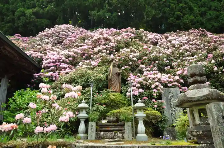 横峰寺(愛媛県)