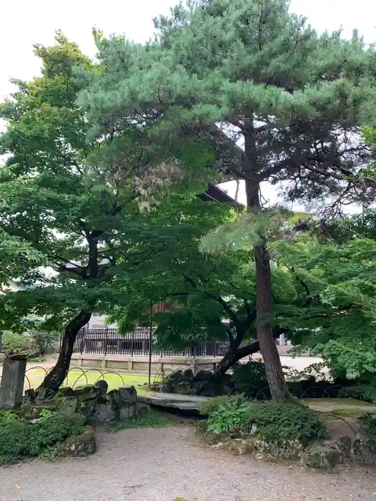 飛騨国分寺の自然