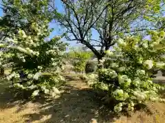 大生郷天満宮の自然