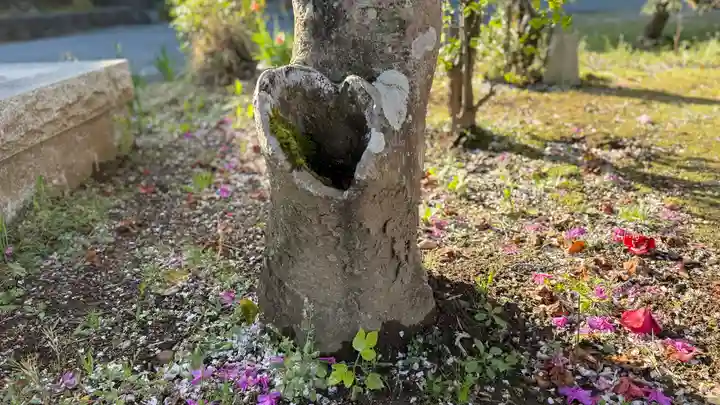 光明寺(静岡県)