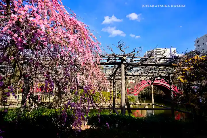 亀戸天神社(東京都)