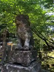 粟鹿神社の狛犬