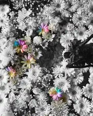 札幌諏訪神社の手水舎