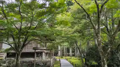 三千院門跡(京都府)