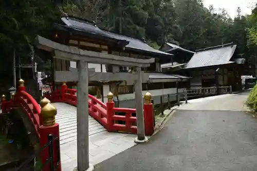 脳天大神龍王院(奈良県)