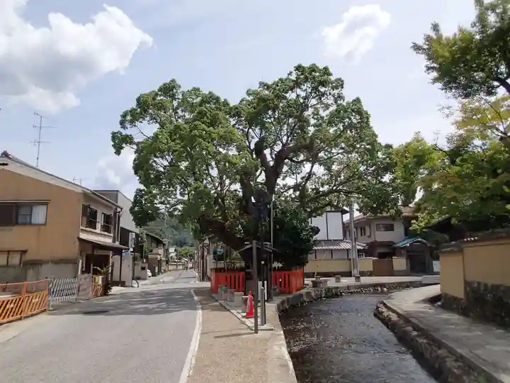 藤木社(賀茂別雷神社末社)の周辺