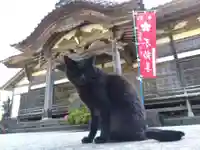 正覚院(石川県)