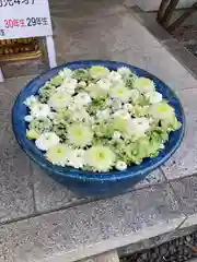 行田八幡神社の手水