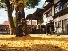 今市報徳二宮神社の建物その他