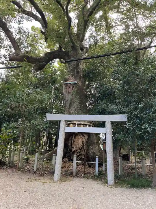 松阪神社(三重県)