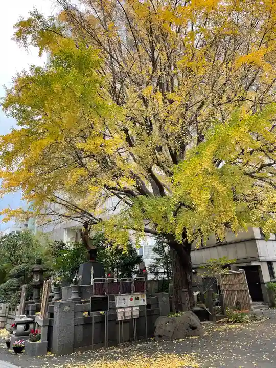 回向院(東京都)