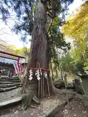 磐椅神社(福島県)