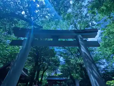 愛宕神社の鳥居