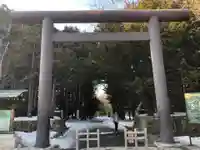 北海道神宮の鳥居