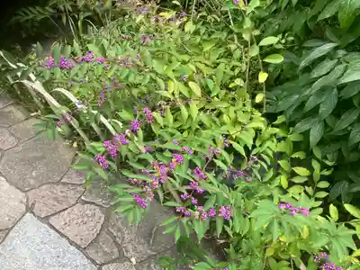 大巧寺(神奈川県)