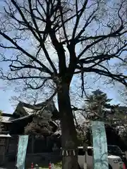 諏訪神社(富山県)