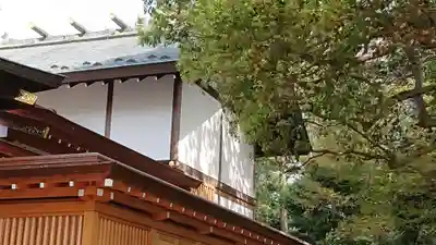 阿豆佐味天神社 立川水天宮の本殿・本堂