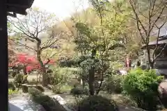 大藏經寺の庭園