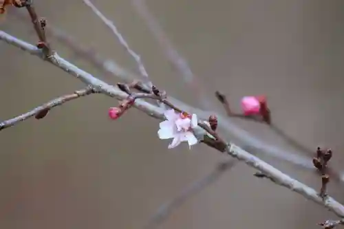 国宝 大法寺(長野県)
