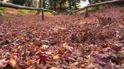 成相寺(京都府)