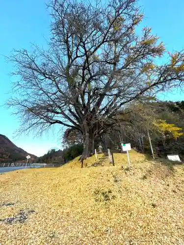 横川天白社(長野県)