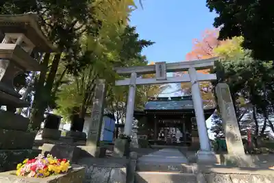熊野福藏神社の鳥居
