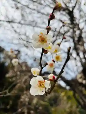 二兒神社(福岡県)