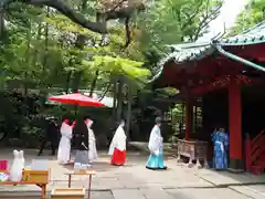 赤坂氷川神社(東京都)