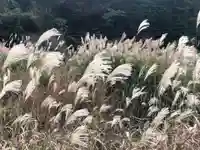 木舟山 順教寺の自然