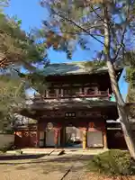 善導寺(群馬県)